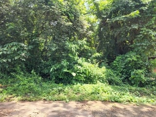 Terreno en Venta Cañadas de Torre Molinos Escuintla - 2