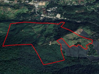Land with Hass Avocado Plantations in Purulha, Baja Verapaz - 3