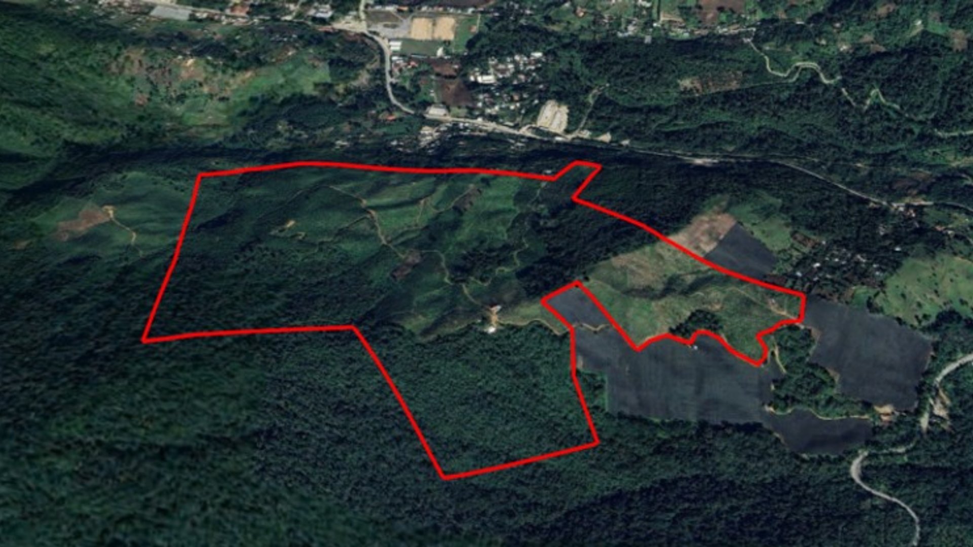 Land with Hass Avocado Plantations in Purulha, Baja Verapaz - Miniatura 3