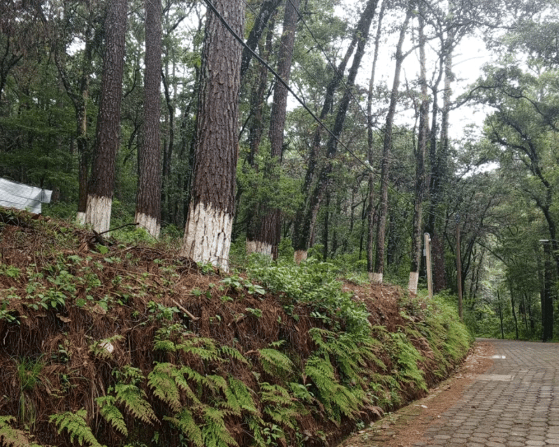 Venta de Terreno en Labor de Castilla, Mixco.