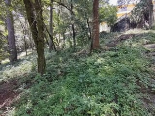 Terreno en Venta en Los Encinos1 km 26 carretera a San Lucas - 3