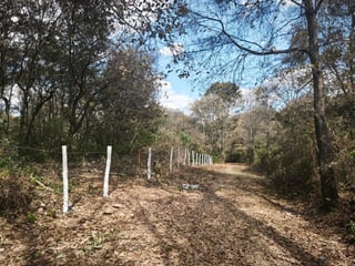 Terreno en venta, El Encinal  - 2
