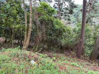 VENTA TERRENOS EN EL ENCINAL, MIXCO - 3