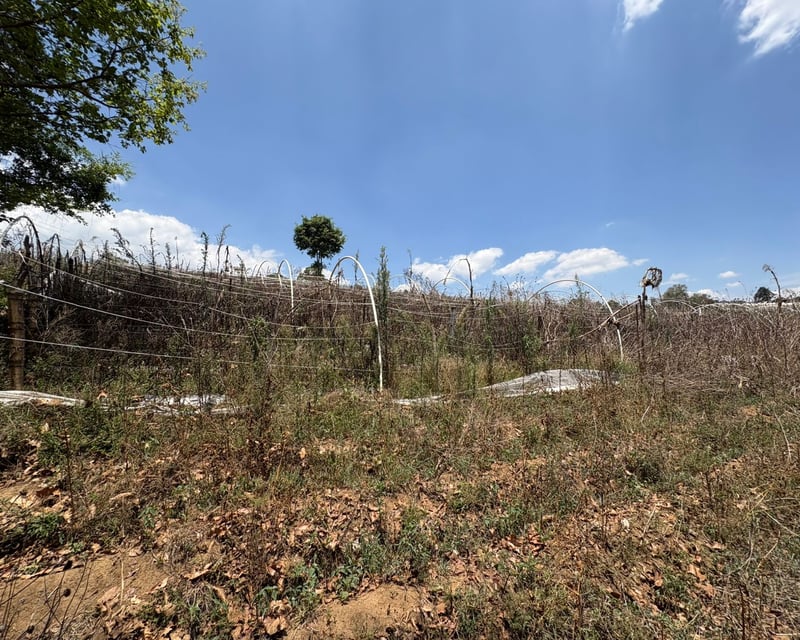 VENTA DE LOTES IDEAL PARA DESARROLLO - SUMPANGO, SACATEPEQUEZ