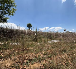 VENTA DE LOTES IDEAL PARA DESARROLLO - SUMPANGO, SACATEPEQUEZ