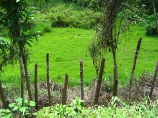 VENTA EXCELENTE FINCA CARRETERA A SANTA ROSA - 3