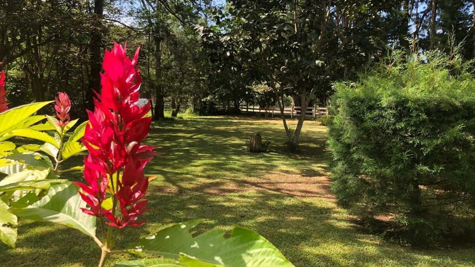 Terreno en VENTA en Santa Elena del Lago - Miniatura 8