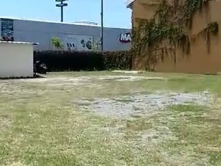 Terreno en Renta en zona 18 Km 4 Car. al Atlantico - 4