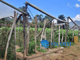 Finca for Sale in Antigua Guatemala - Image 6