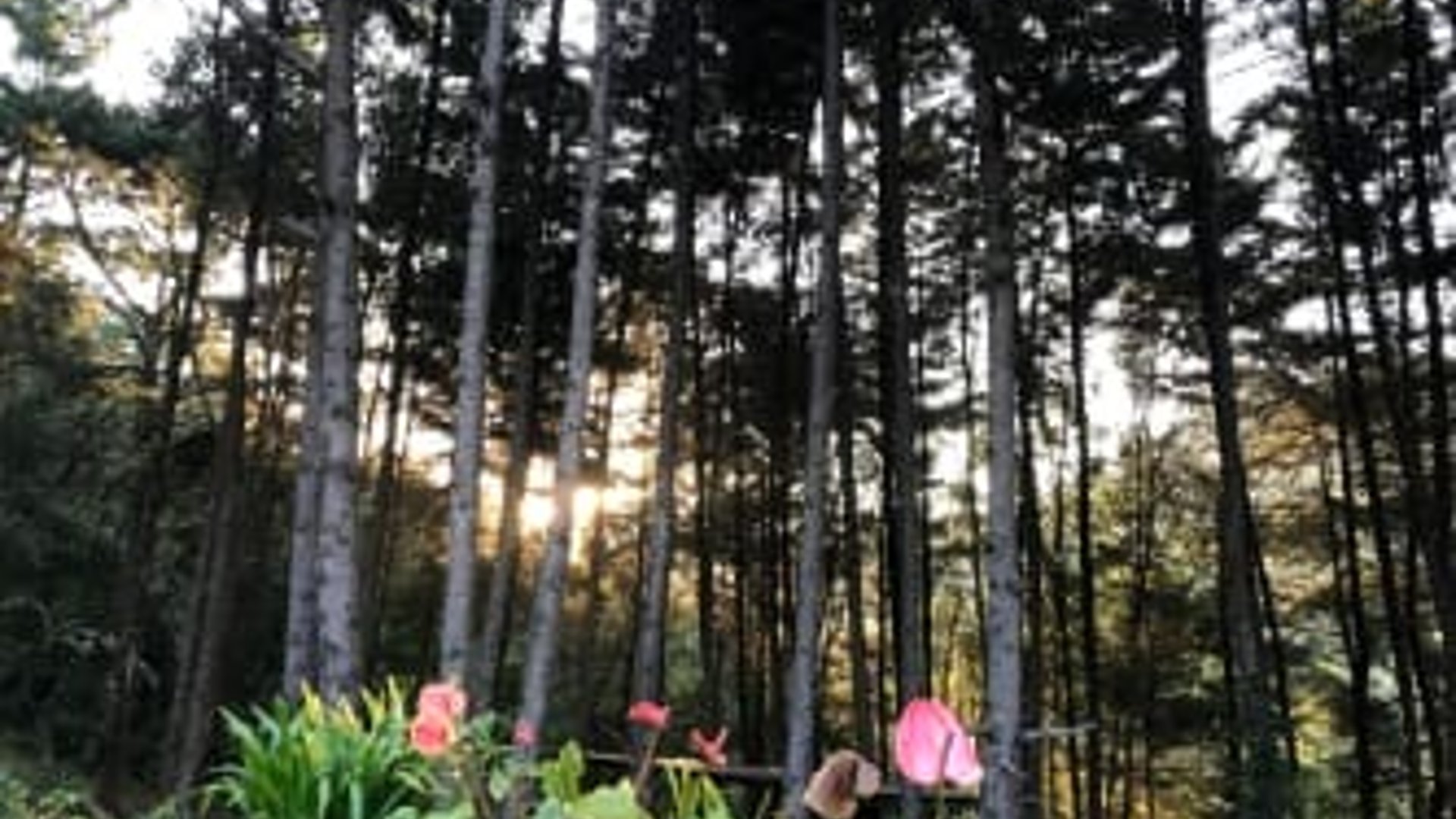 Finca en venta, en San José Pinula - Miniatura 2