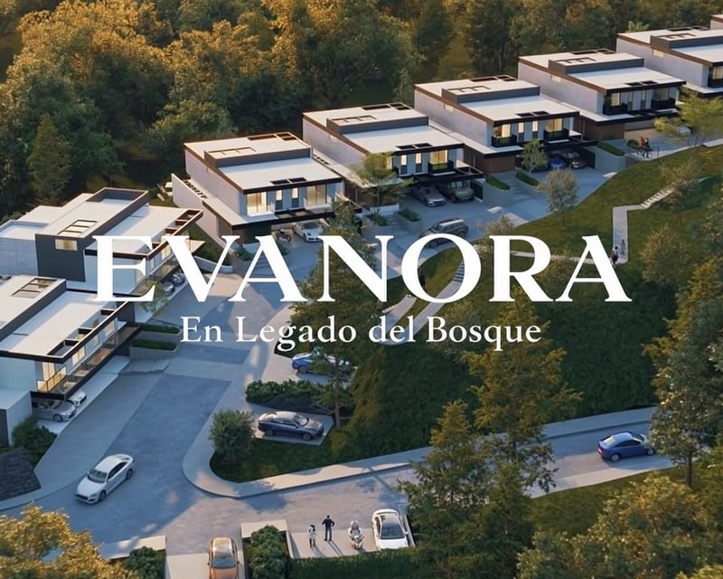 Evanora, en Legado del Bosque 