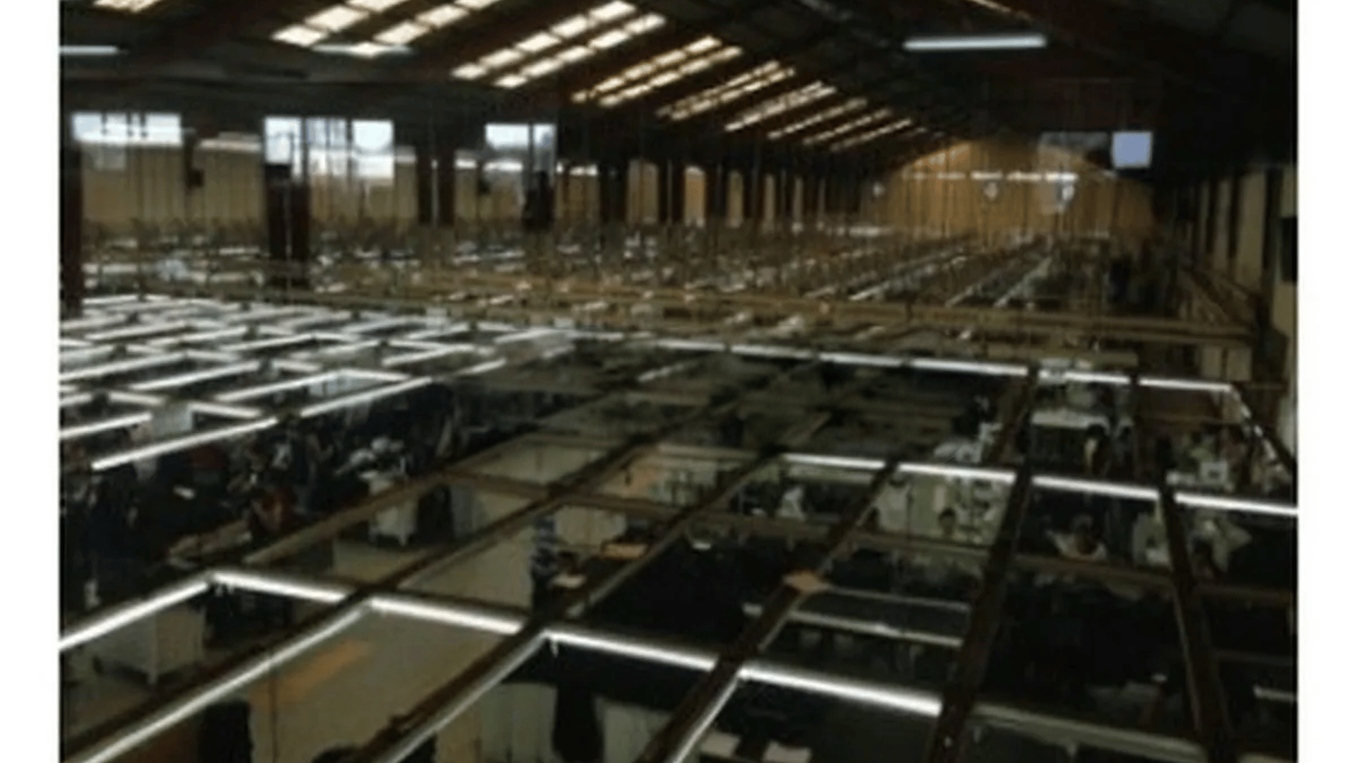 Bodega en renta zona 11