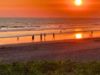 PROYECTO DE 3 VILLAS EN VENTA MONTERRICO - 5