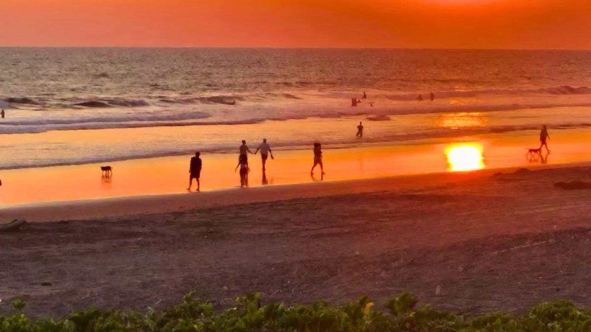 PROYECTO DE 3VILLAS EN VENTA MONTERRICO - Miniatura 5