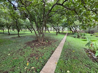 Propiedad en venta en Amatitlan de 2mnzs Ref-4866 - Image 13