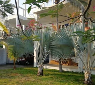 Casa en Venta Aldea el Hawai, Chiquimulilla, Santa Rosa - Miniatura 2