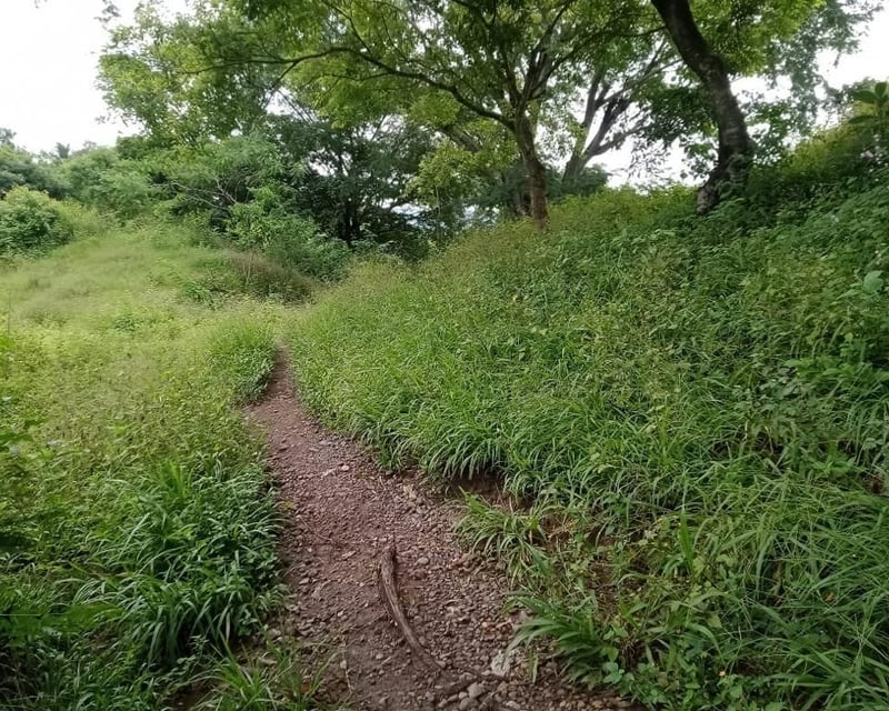 Terreno en VENTA  en Santa Rosa