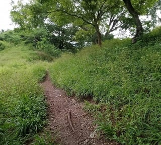 Terreno en VENTA  en Santa Rosa
