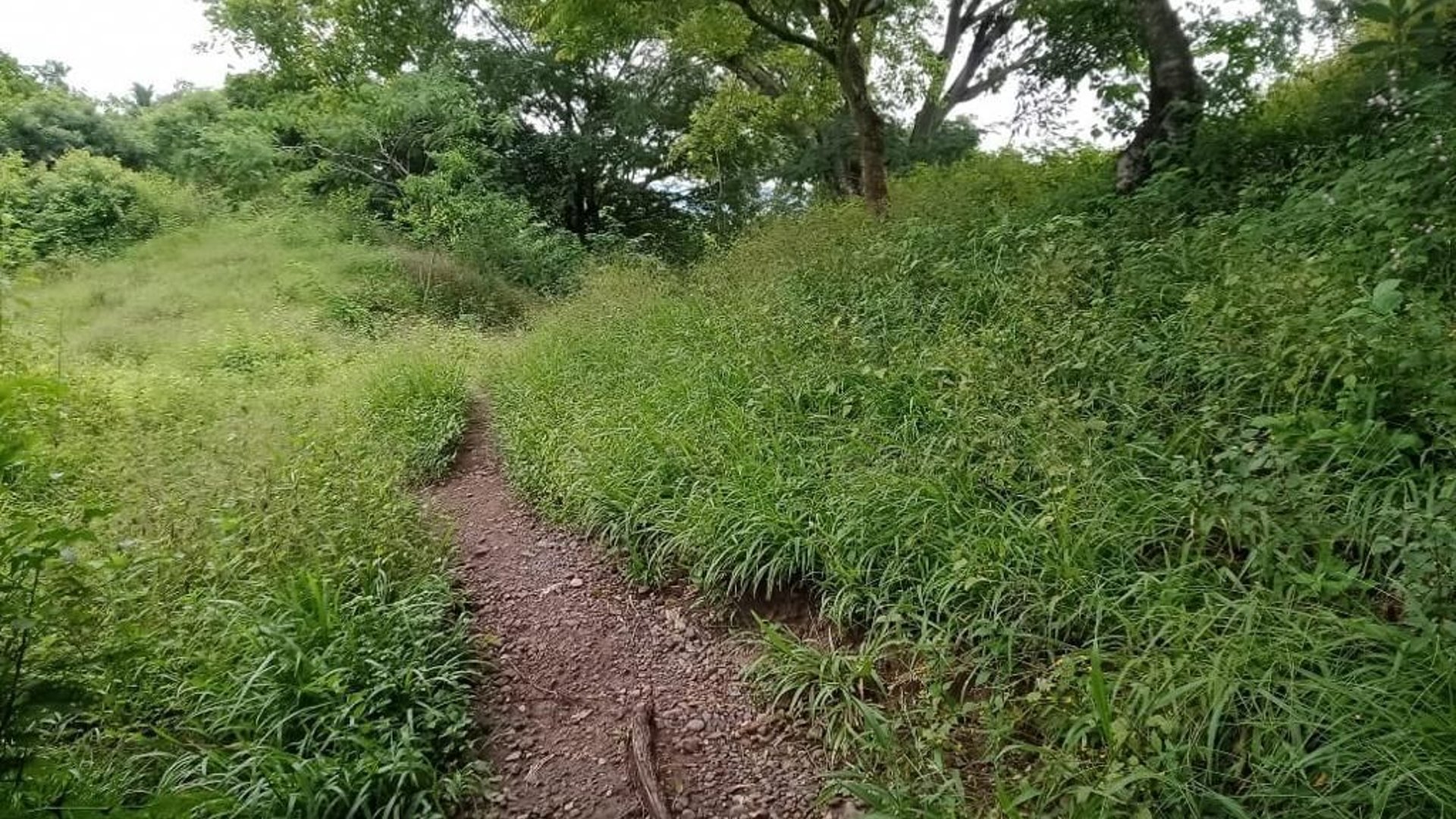 Terreno en VENTA  en Santa Rosa