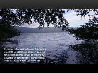 TERRENO EN VENTA EN MANAGUA, NICARAGUA, LAGUNA DE APOYO - Image 30