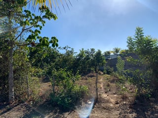 Terreno en venta, Monterrico Santa Rosa - 4
