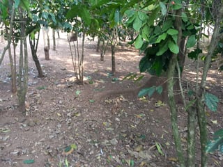 TERRENO EN ALDEA LA SALVADORA SANTA CATARINA PINULA - 3