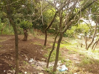 Terreno en Renta en Santa Catarina Pinula - 3