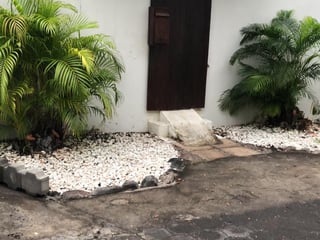 Casa en la Playa, Marena Puerto San José  - 4