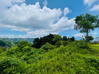 VENTA DE AMPLIO TERRENO - LAS MANZANILLAS, KM 19.9 CES - 5