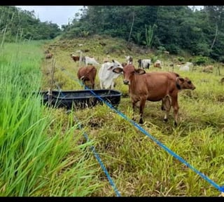 Finca en Venta – Cobán, Alta Verapaz