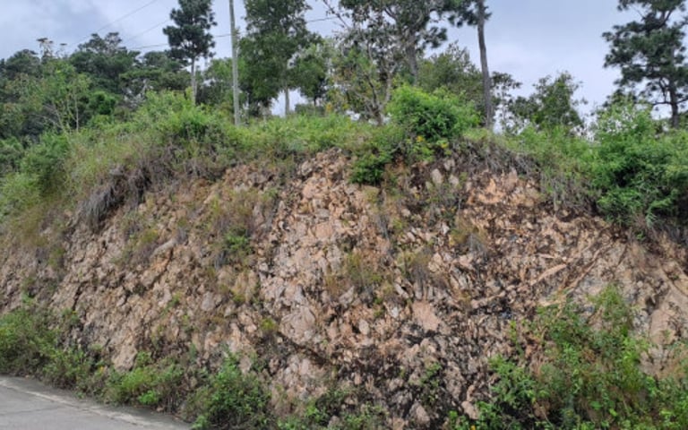 Terreno en venta en San Antonio la Paz el Progreso - Miniatura 2