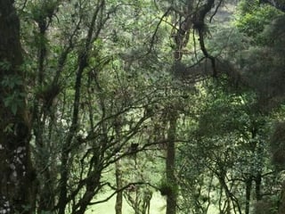 VENTA DE TERRENO EN SANTA ROSALIA LA LAGUNA - Image 10