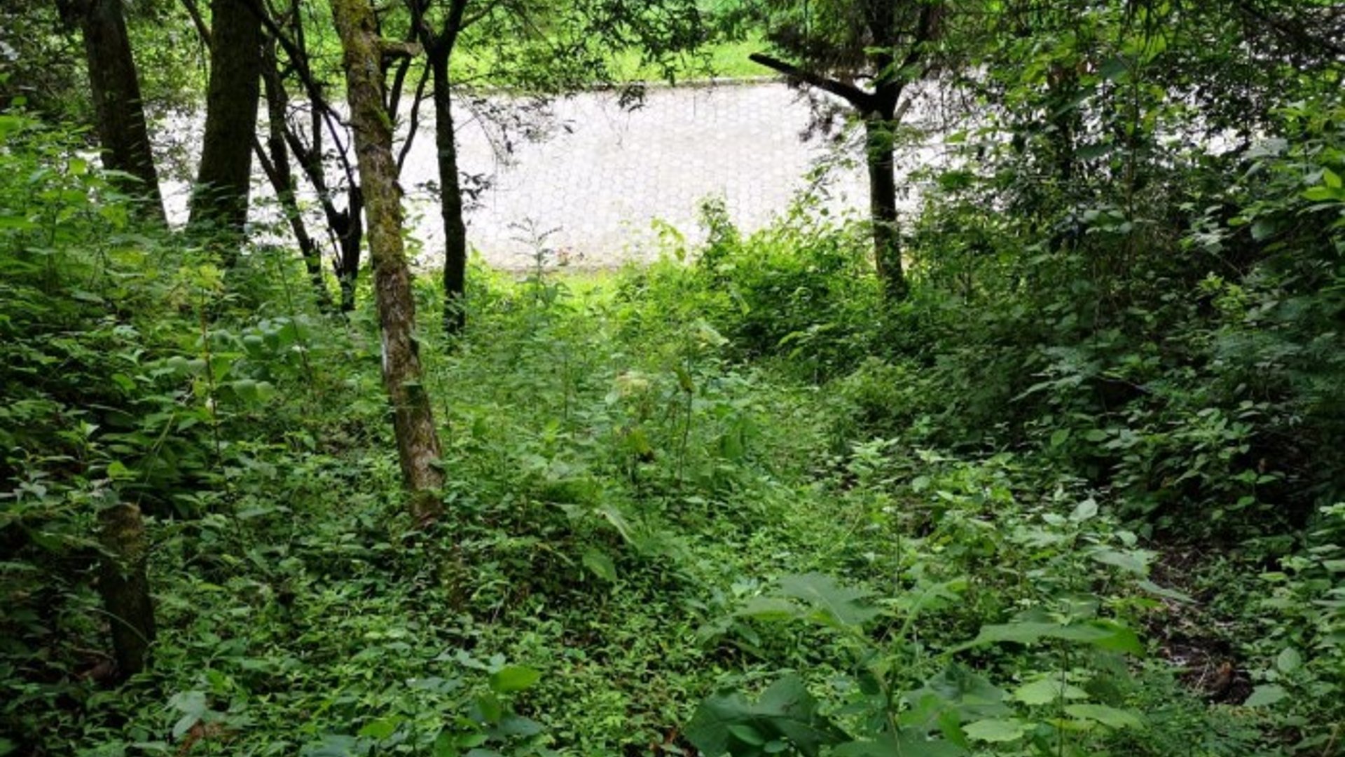 Terreno en Venta El Encinal Mixco - Miniatura 3