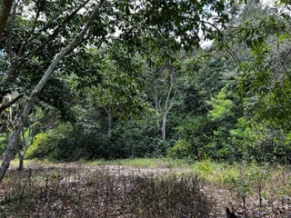 Finca en Venta, Acatempa, Jutiapa, Guatemala - Image 3