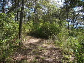 Vendo terreno en Km. 6 a San Jose Pinula Palencia - 3