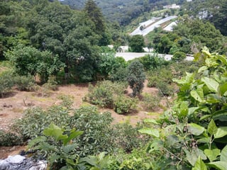 TERRENO COMERCIAL EN VENTA SAN PEDRO SACATEPÉQUEZ - 4
