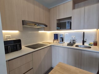Apartamento Amueblado en Renta en Zona 15 Vista Hermosa 1 - 3
