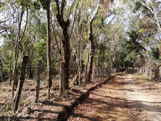 Terreno en Venta en Km 26.5 Carretera a El Salvador, 7.7 Manzanas  - Image 1