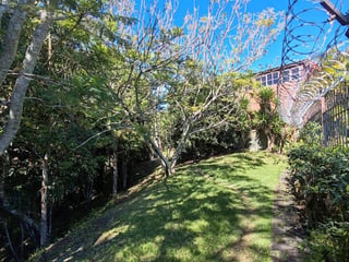 Finca en Venta de 9 manzanas en Fraijanes Guatemala - Image 16