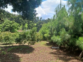 Terreno Comercial y Residencial en Venta Santiago Sac. - 5