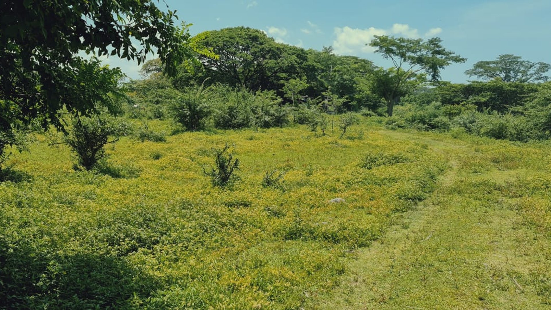 Finca de 113 Manzanas en venta Autopista Puerto Quetzal - Miniatura 4