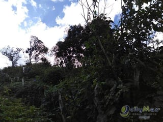 Venta de terreno comercial en zona 16! - 3