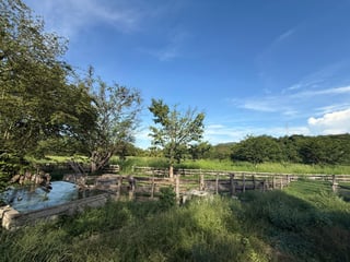 Finca en venta en Jumuzna Zacapa - 5