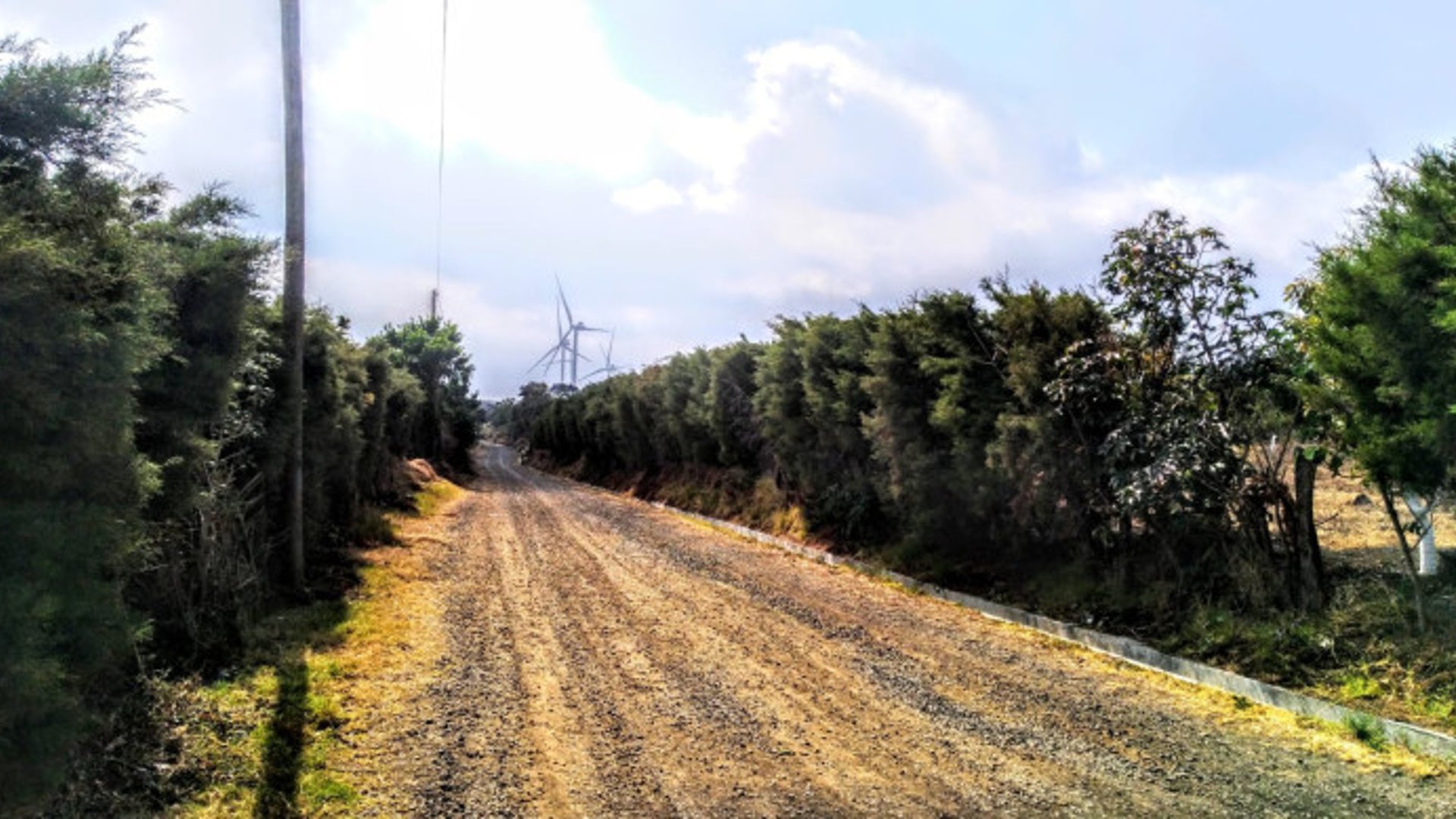 En venta finca aguacate Hass San Vicente Pacaya Esc - Miniatura 6