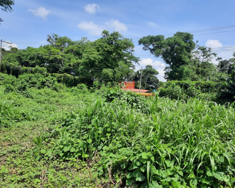 Terreno en Venta a Orilla de Calle en Coatepeque