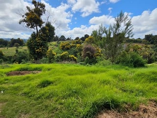 TERRENO EN VENTA – GRANJAS VILLA ALICIA, KM 32.9 SANTIAGO SACATEPÉQUEZ - 3