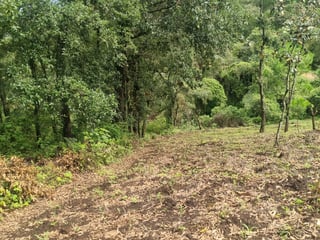 FINCA EN ALDEA LAS FLORES SUMPANGO SACATEPEQUEZ - 4