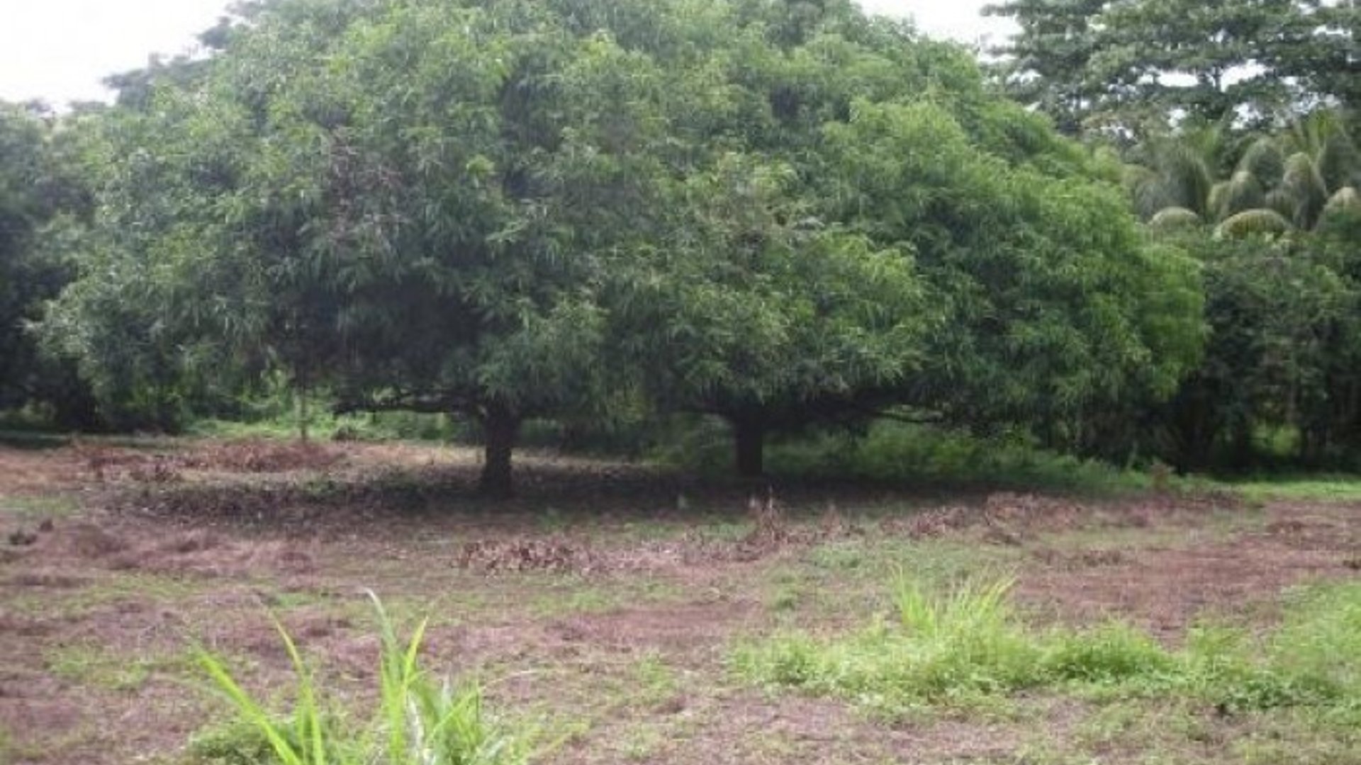 Finca en Venta en  Guanagazapa Escuintla