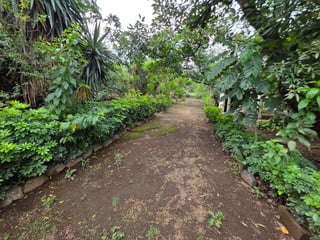 Propiedad en venta en Amatitlan de 2mnzs Ref-4866 - Image 10