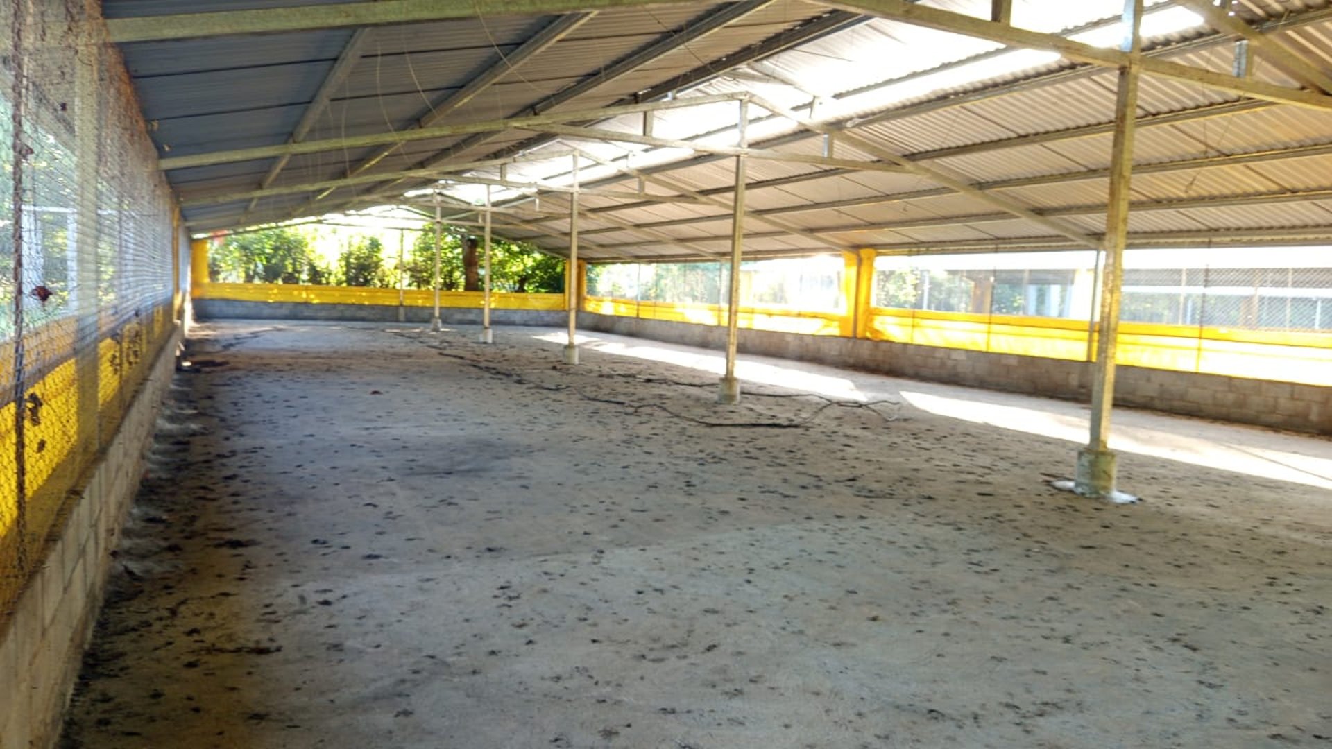 Terreno en Venta Km. 81 Masagua, antigua carretera a Puerto Quetzal - Miniatura 6